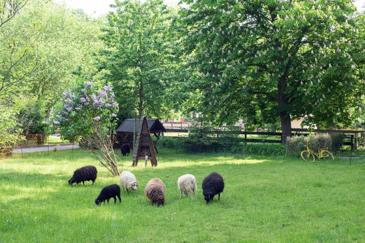 Sonnenschloss Walbeck  Exteriör bild